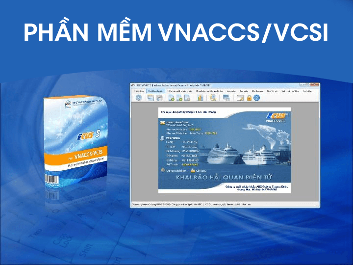 VNACCS VCIS là gì